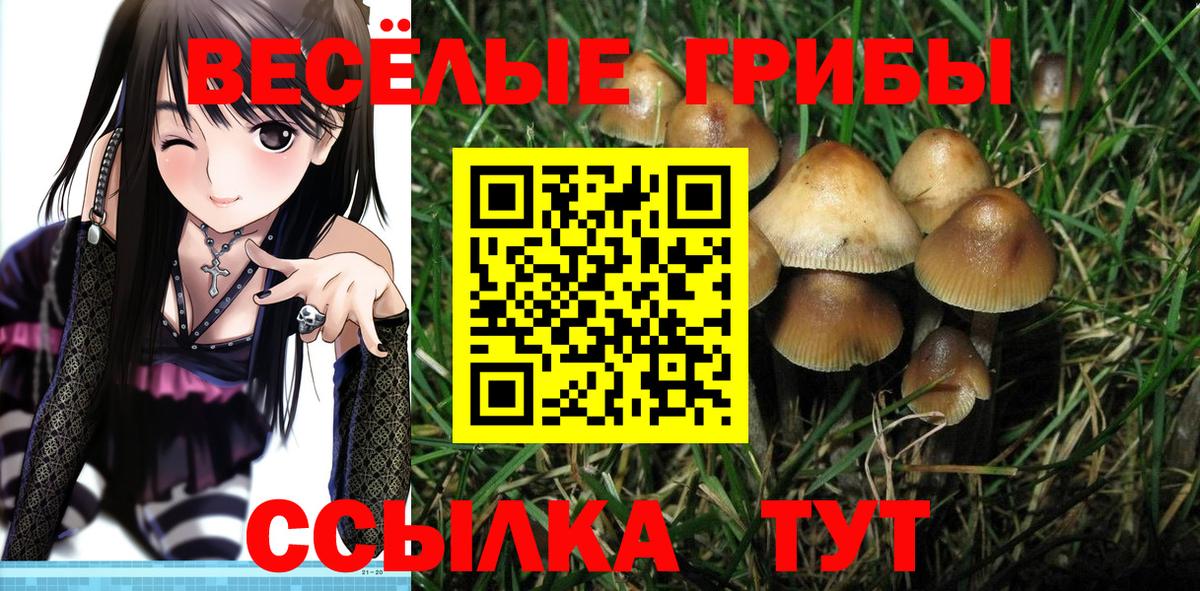 Галлюциногенные грибы Psilocybe  Вход с VPN  Лангепас  Галлюциногенные грибы прущие грибы 